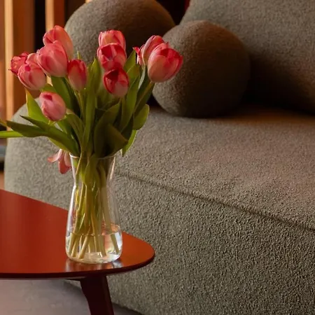 Chaty Szczawnica Nyaraló