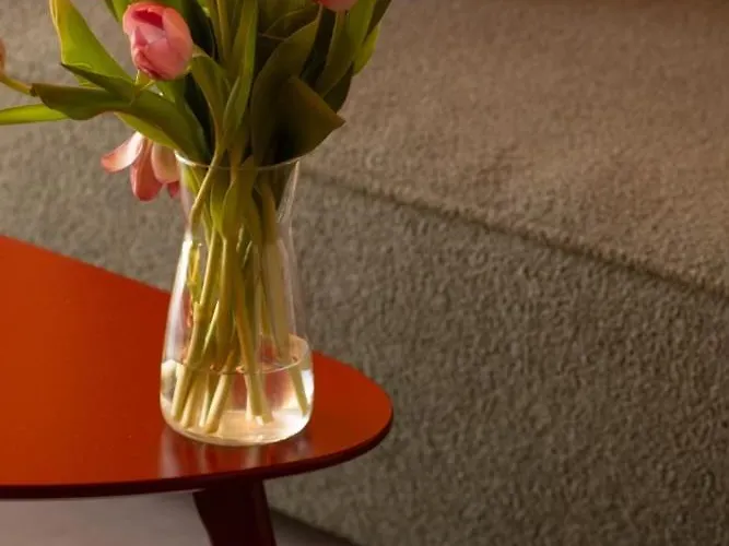 Chaty Szczawnica Szczawnica